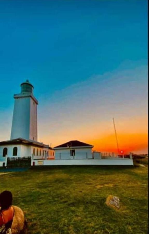 Casa verde Laguna Dış mekan fotoğraf